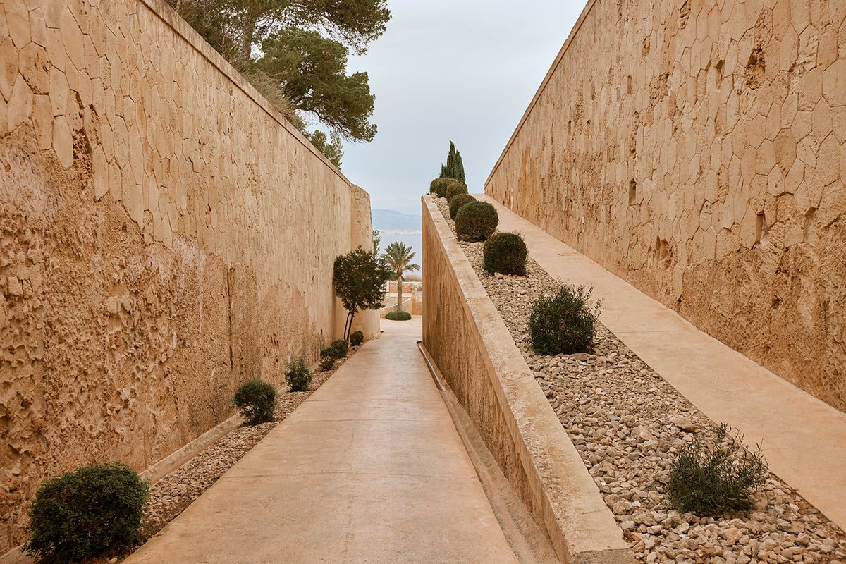 The Wrapsody Collection Miraclesuit